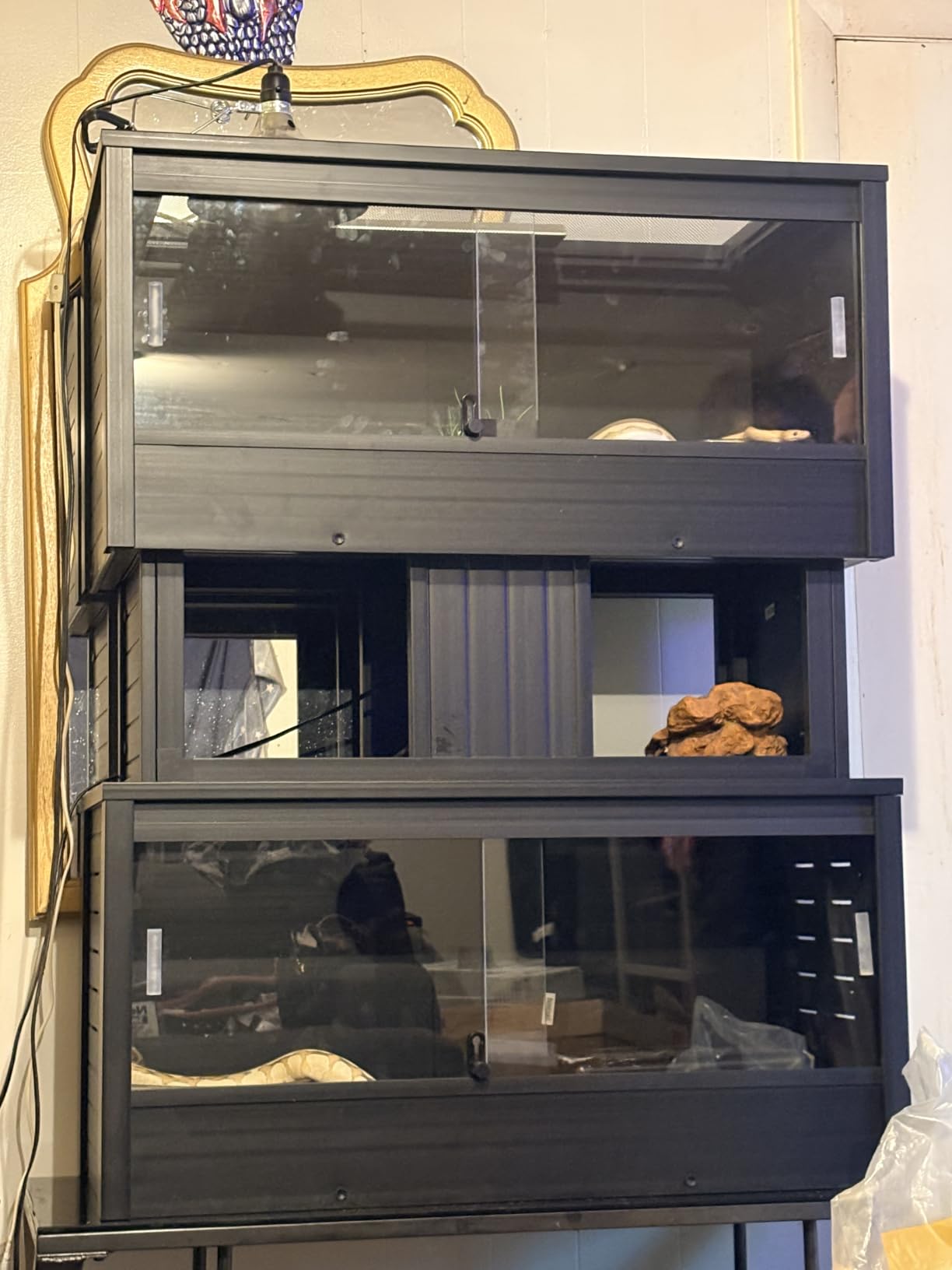 New Age Pet ECOFLEX Two Large Reptile Enclosures with Matching Stacker Combo Set in Maple customer photo 2