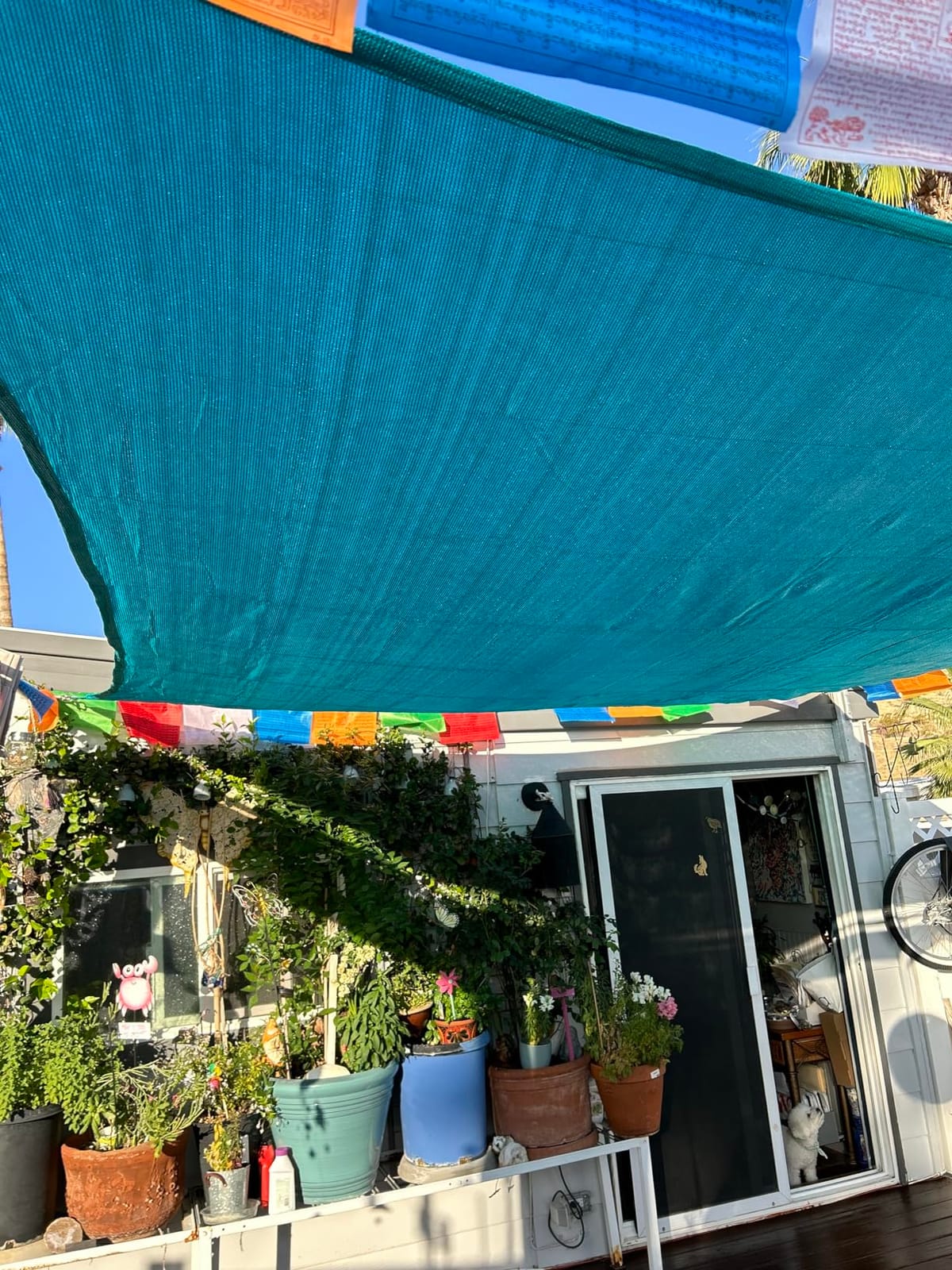 ColourTree 12' x 12' Beige Rectangle Sun Shade Sail for Backyard customer photo 1