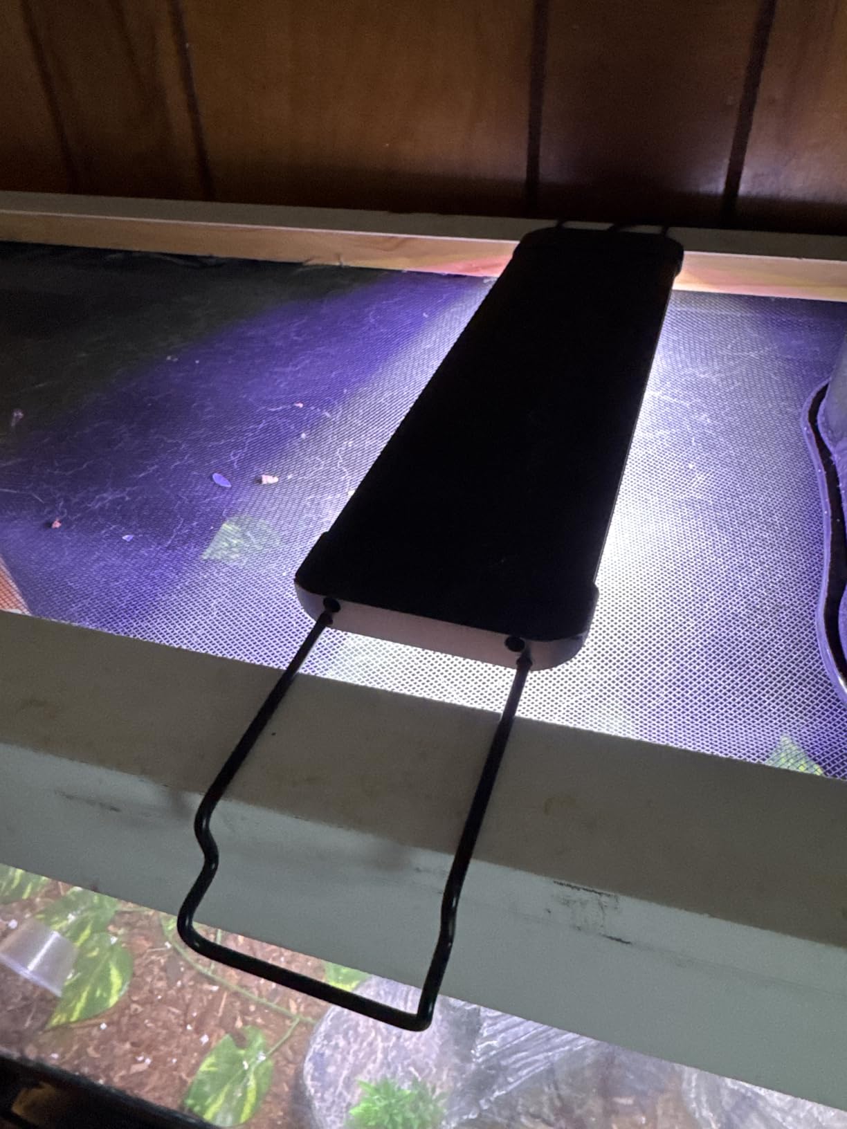 Pawfly 11 W Terrarium Light for 12