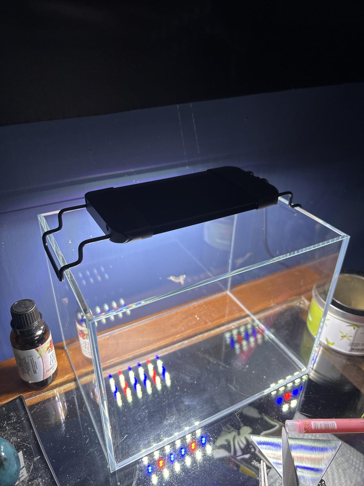 Pawfly 11 W Terrarium Light for 12