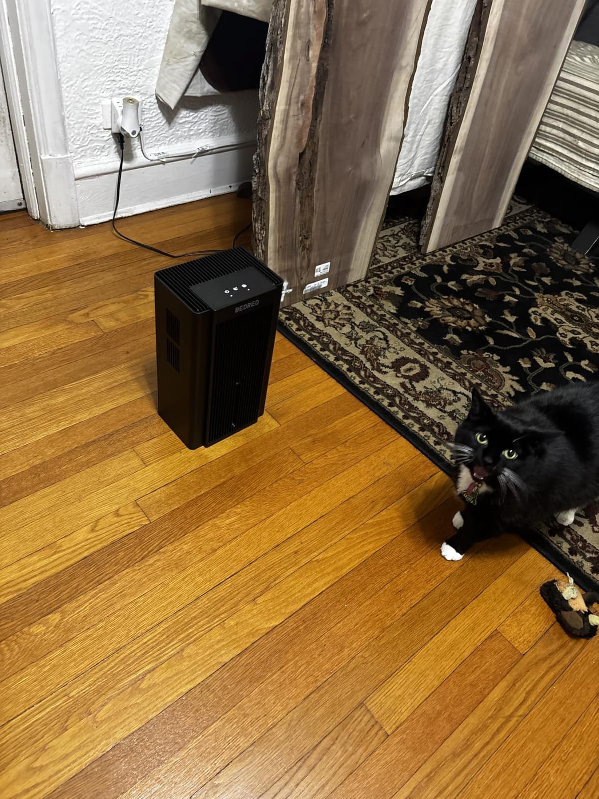 BEDRED Dehumidifier, 95Oz Dehumidifier for Home 1000 Sq.Ft customer photo 2