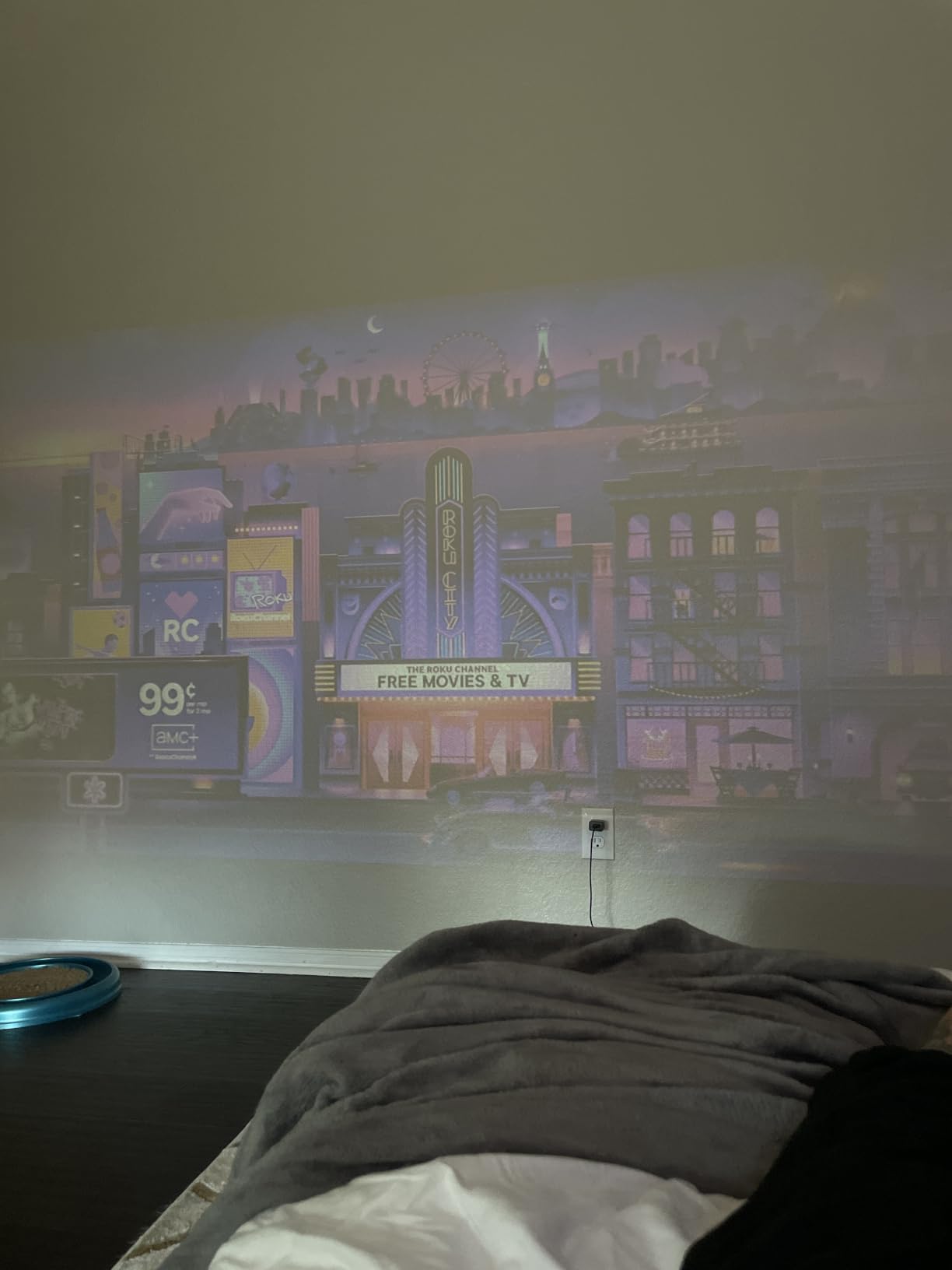 Roku Streaming Stick HD customer photo 2