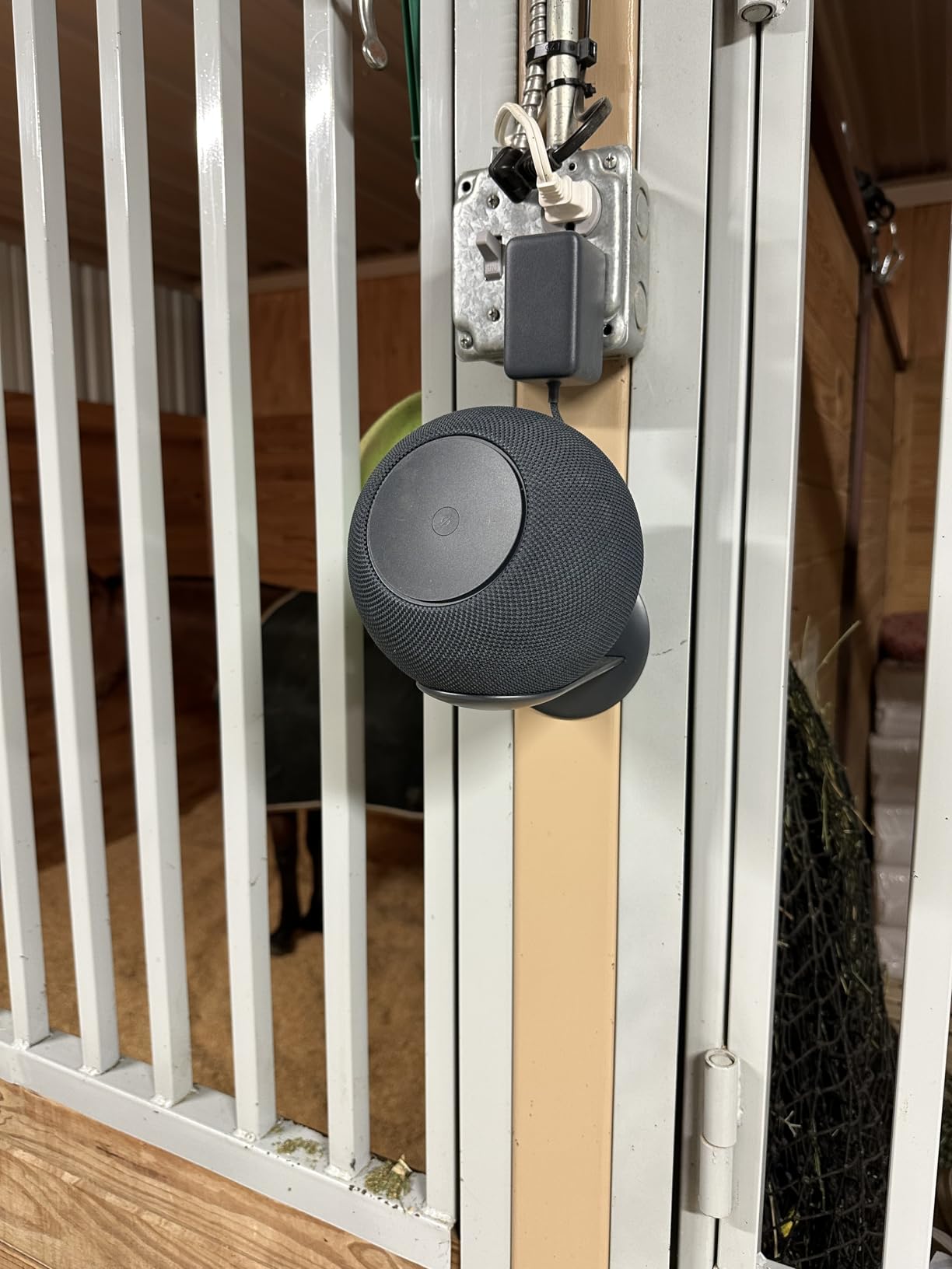 Amazon Echo Studio (newest model), Immersive spatial audio and Dolby Atmos, Designed for Alexa+, Glacier White customer photo 2