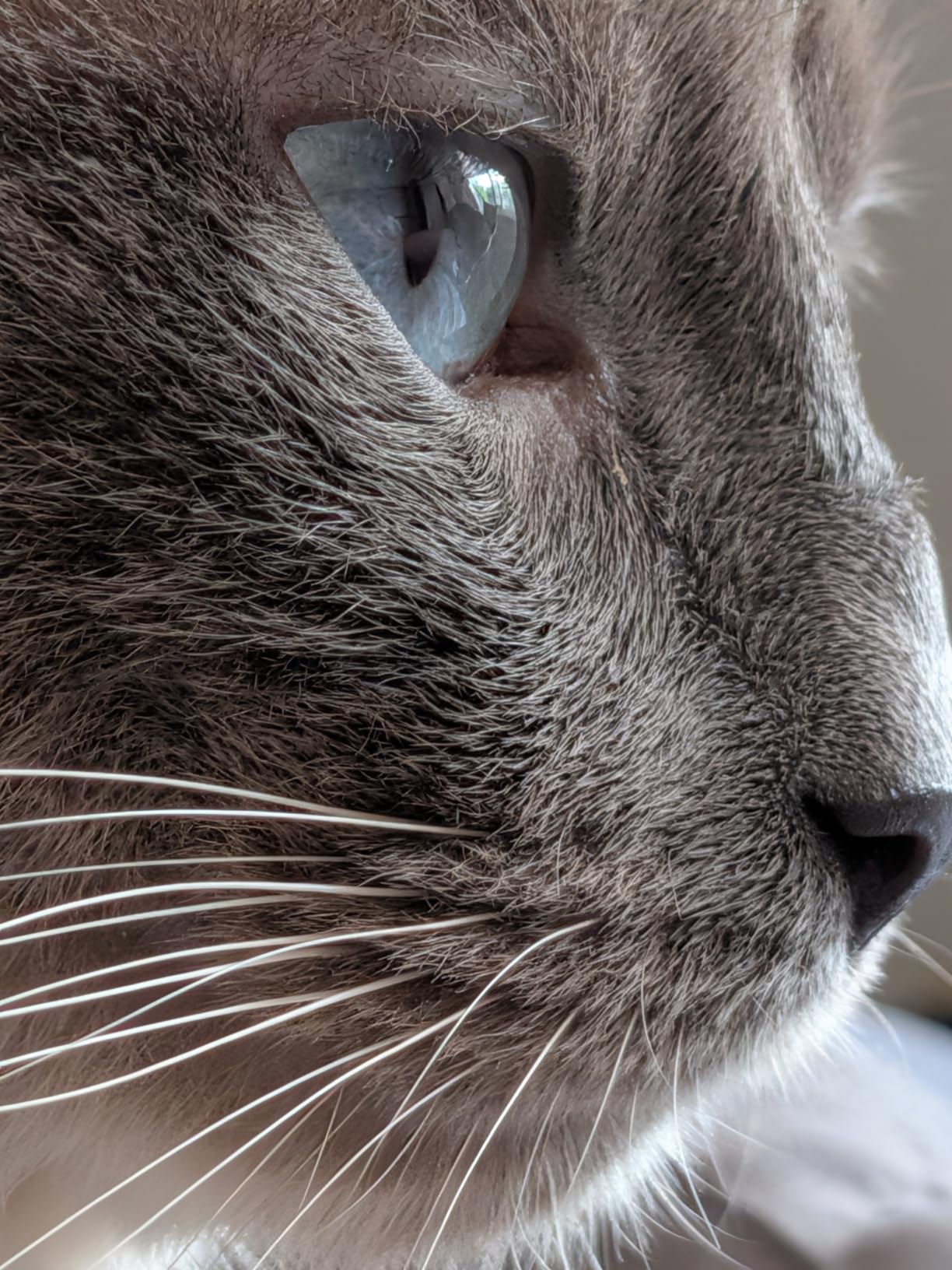 Google Pixel 10 customer photo 1