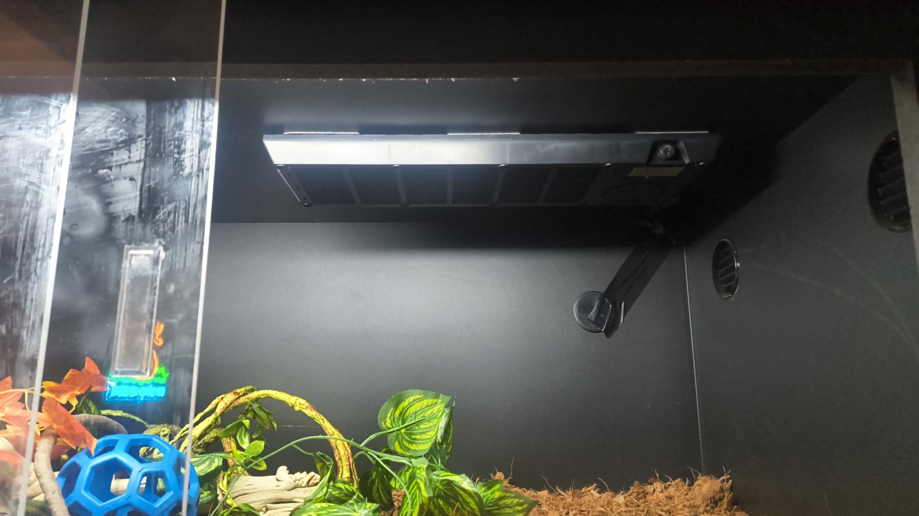 Reptile Heat Panel Adjustable Temperature 60W Reptile Heater for Terrariums, Energy Efficient & Non-Light Reptiles Heating Plate for Snakes,Crested Gecko,Leopard,Turtles customer photo 1