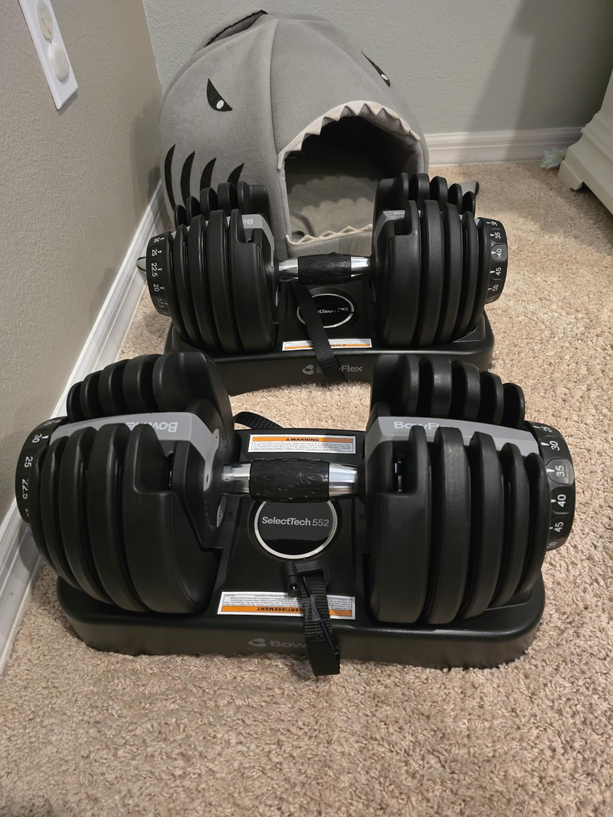 BowFlex SelectTech Dumbbells customer photo 1
