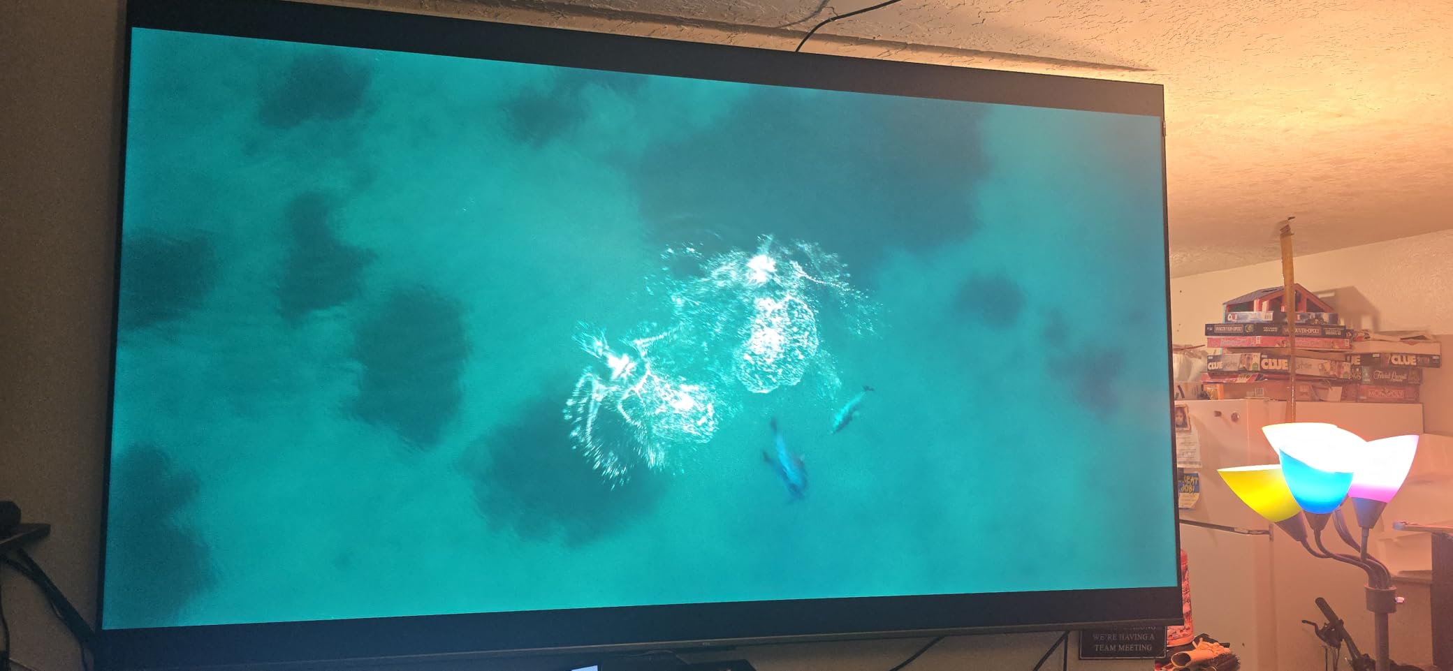 TCL T7 55 customer photo 1