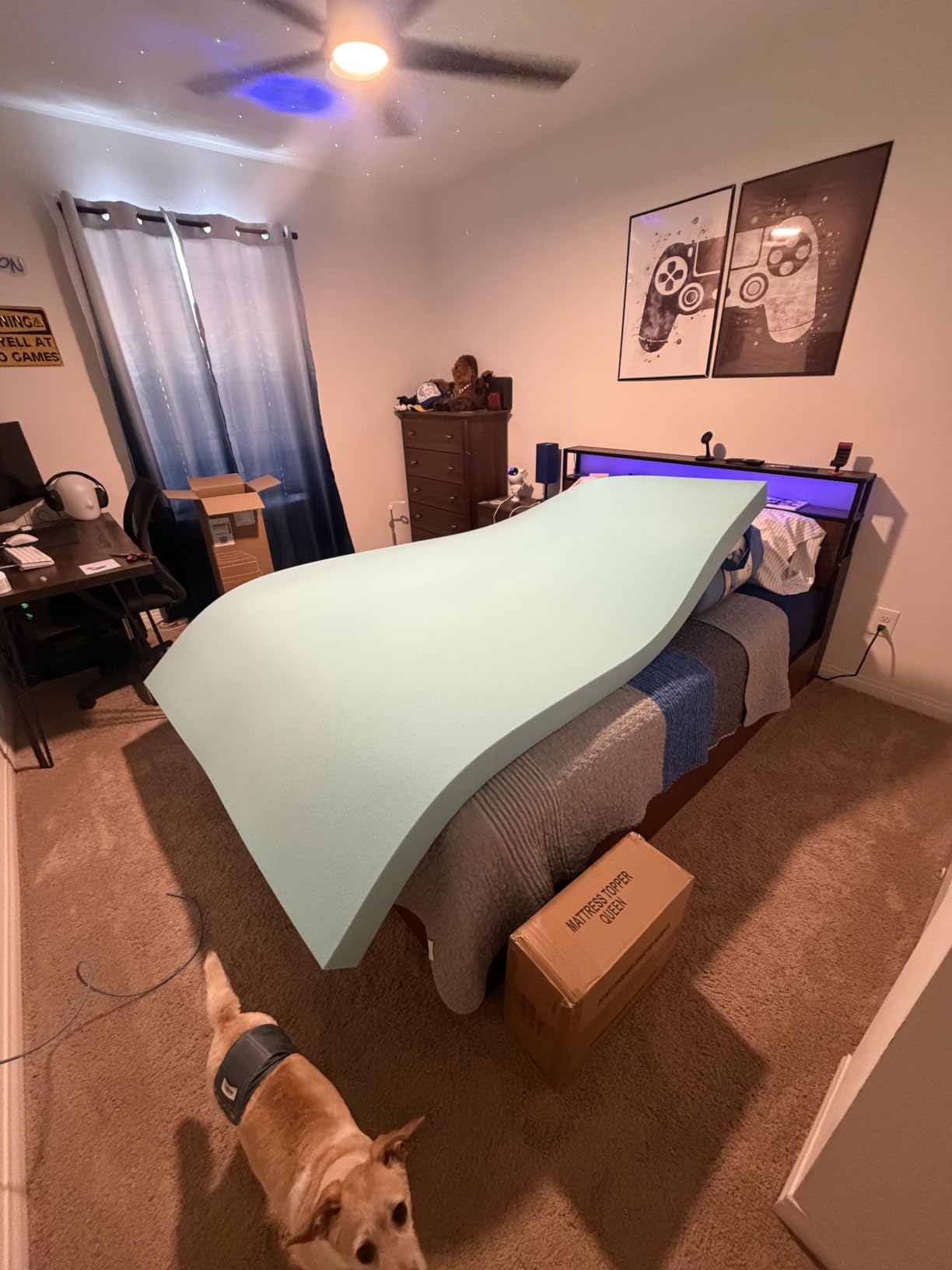WhatsBedding 5 Inch customer photo 1