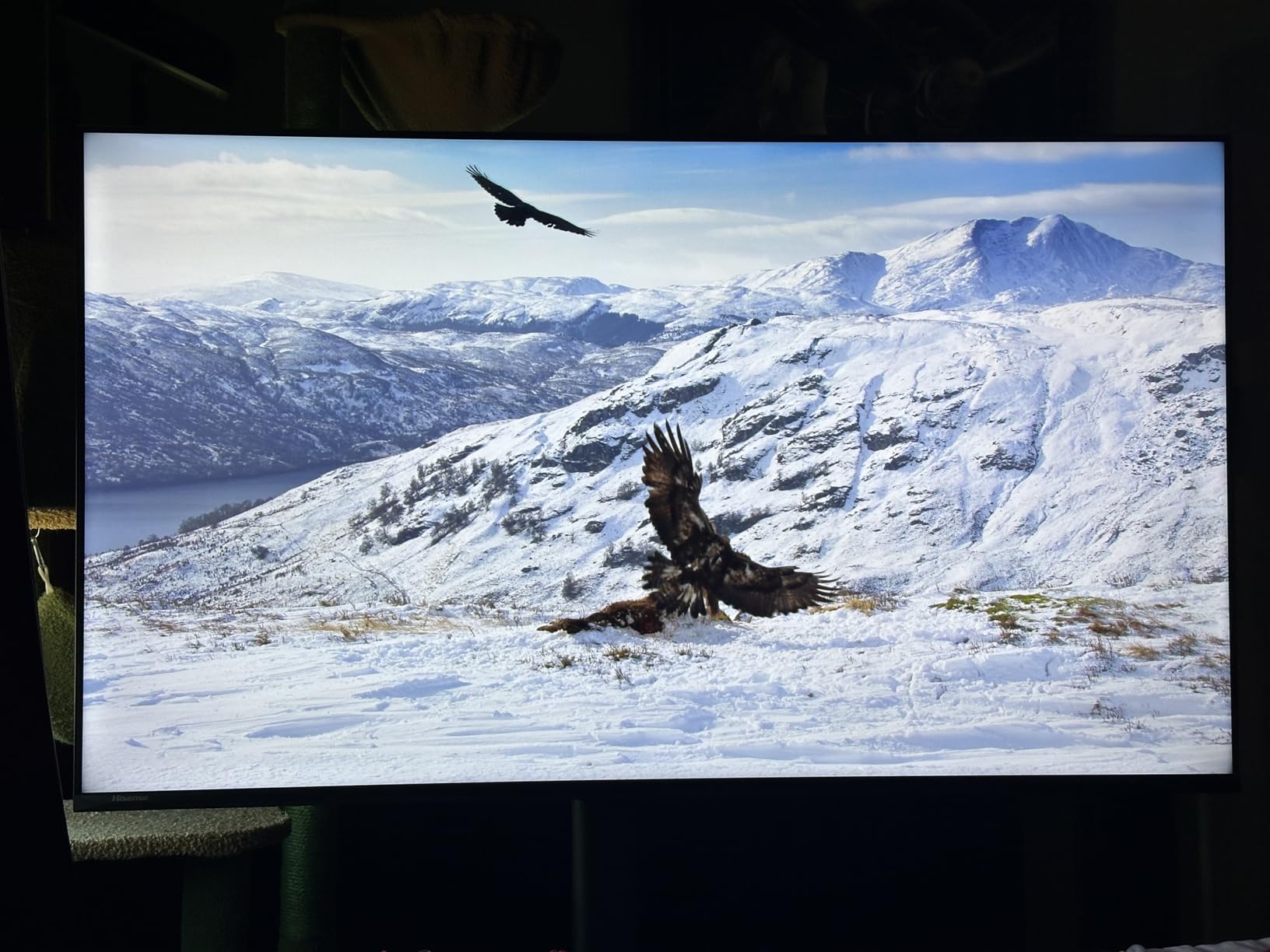 Hisense 75E7SF customer photo 1