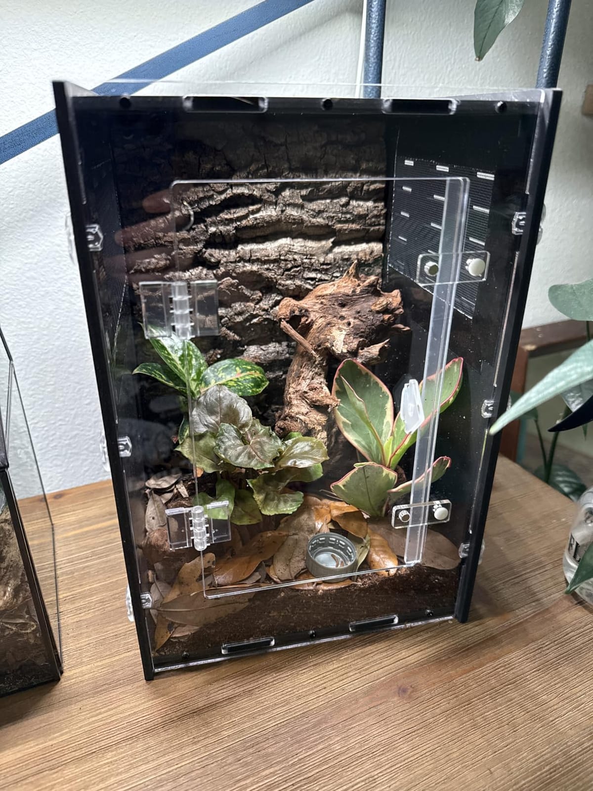 16x16x24 Black PVC Reptile Tank for Adult Reptiles, Front Opening customer photo 2