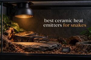 best ceramic heat emitters for snakes